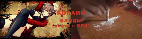 ECSTASY Бородино