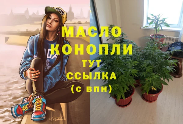 ECSTASY Бородино