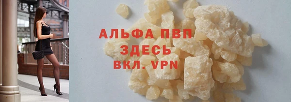 ECSTASY Бородино