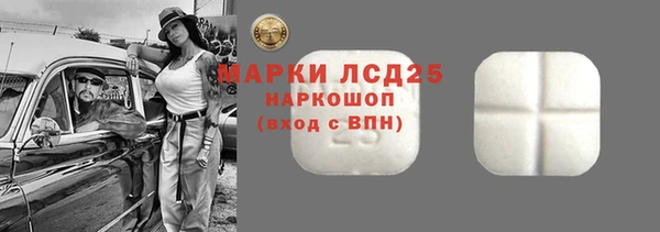 ECSTASY Бородино