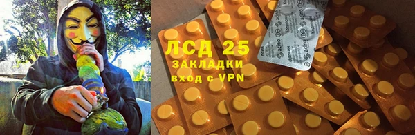 ECSTASY Бородино