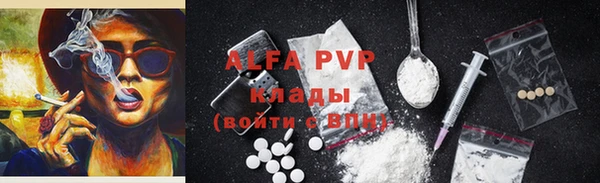 ECSTASY Бородино