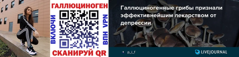 Галлюциногенные грибы Psilocybe  Купить где  Пушкино 