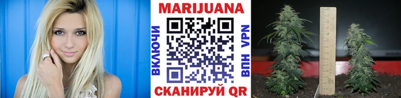Купить где  Пушкино  Бошки Шишки семена 